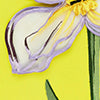 product-logo