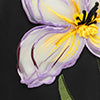 product-logo