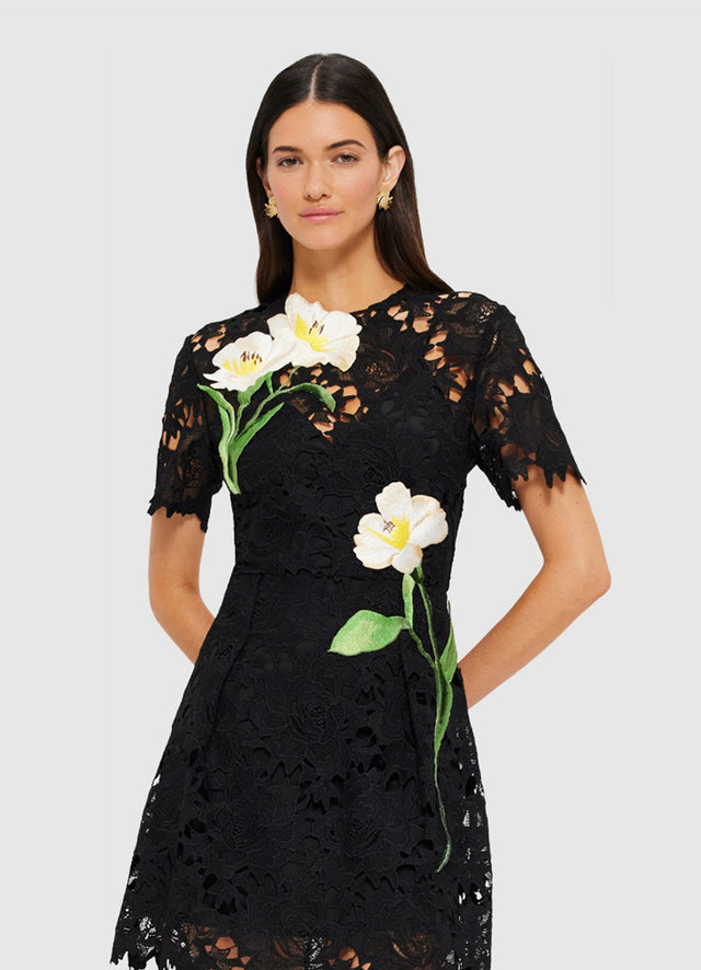Exclusive Leo Lin Margot Embroidered Lace Mini Dress in Ebony