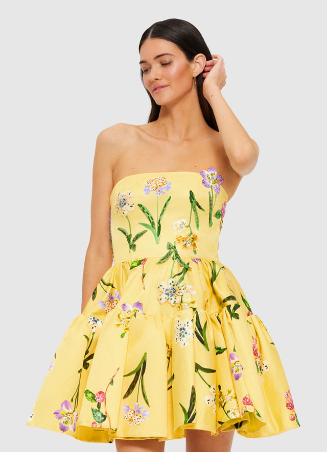 Exclusive Leo Lin Skye Bustier Mini Dress in Wild Flower in Sorbet