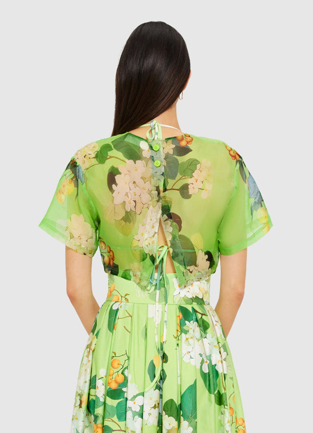 Exclusive Leo Lin Indie Sleeve Top in Hydrangea in Lime