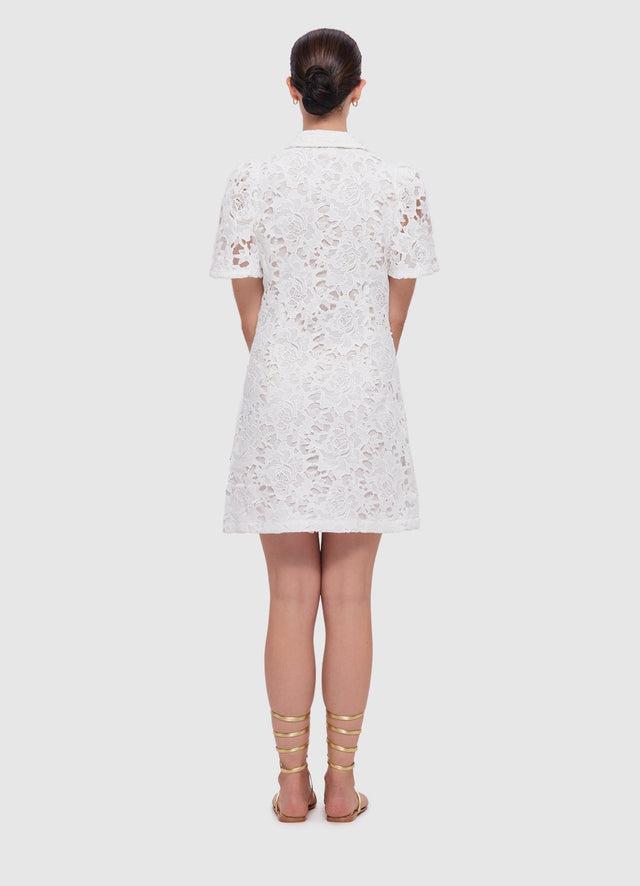 Exclusive Leo Lin Brooke Lace Shirt Sleeve Mini Dress in Snow