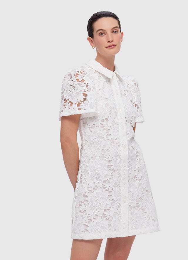 Exclusive Leo Lin Brooke Lace Shirt Sleeve Mini Dress in Snow