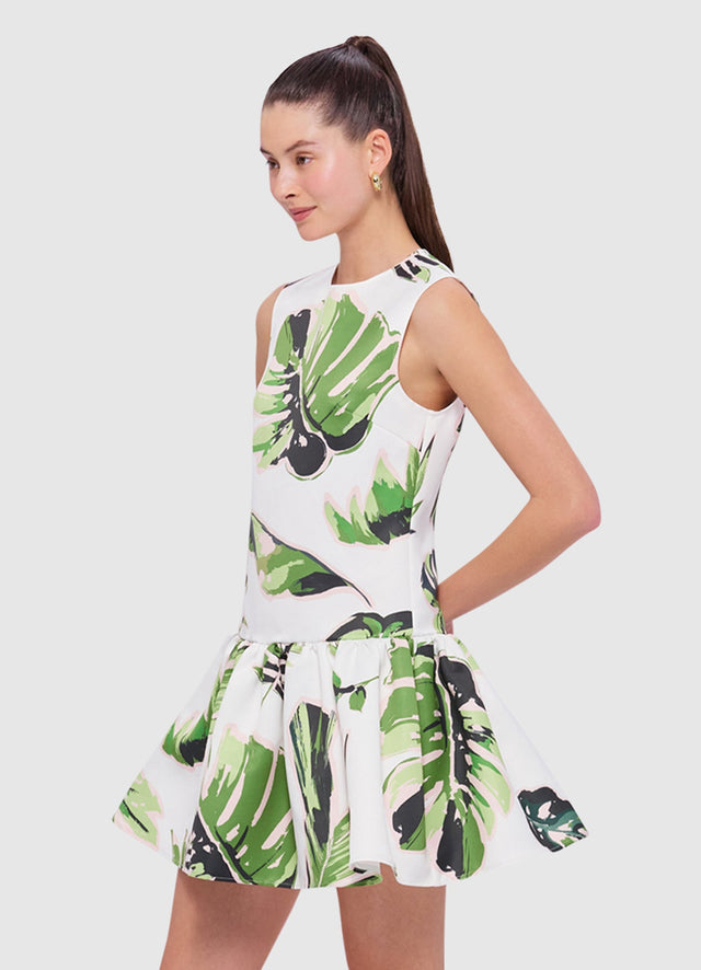 Exclusive Leo Lin Petra Mini Dress in Botanica Print 