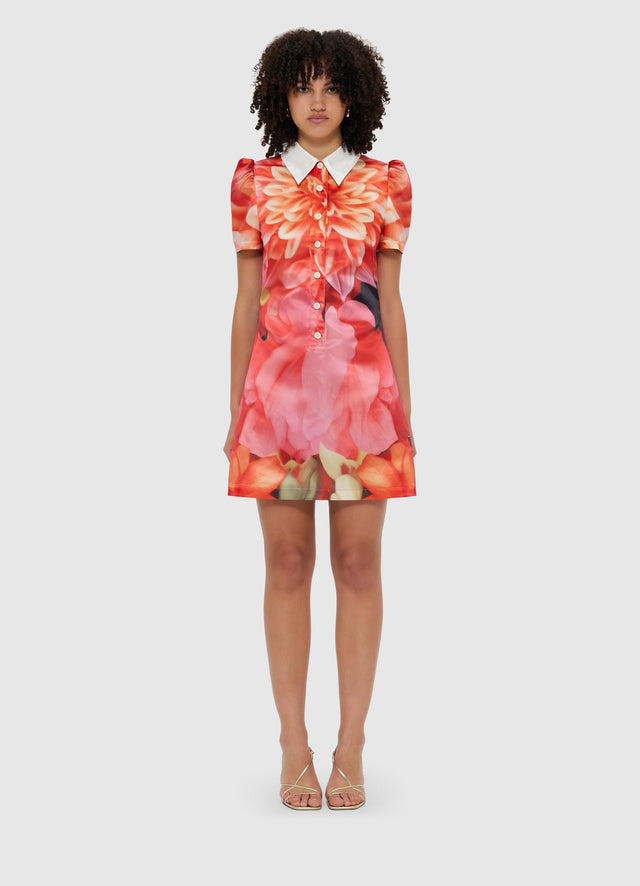 Exclusive Leo Lin Brooke Mini Dress - Kaleidoscope Print