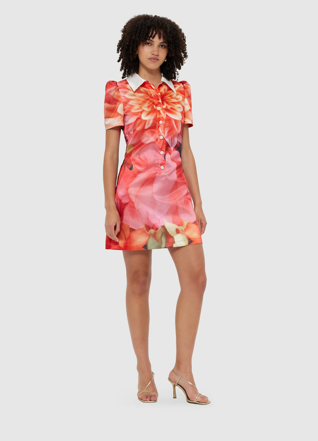 Exclusive Leo Lin Brooke Mini Dress - Kaleidoscope Print