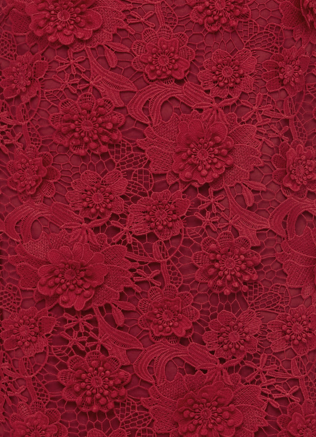 Exclusive Leo Lin Lingyu Lace Mini Dress in Garnet