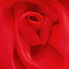 product-logo