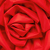 product-logo