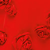 product-logo