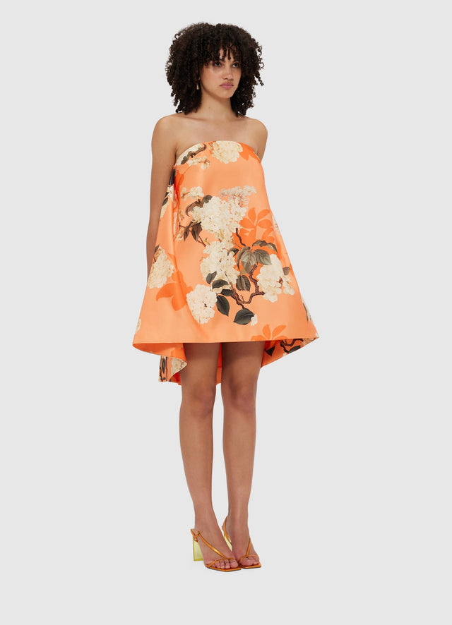 Exclusive Leo Lin Fay Mini Dress - Hydrangea Print in Tangerine