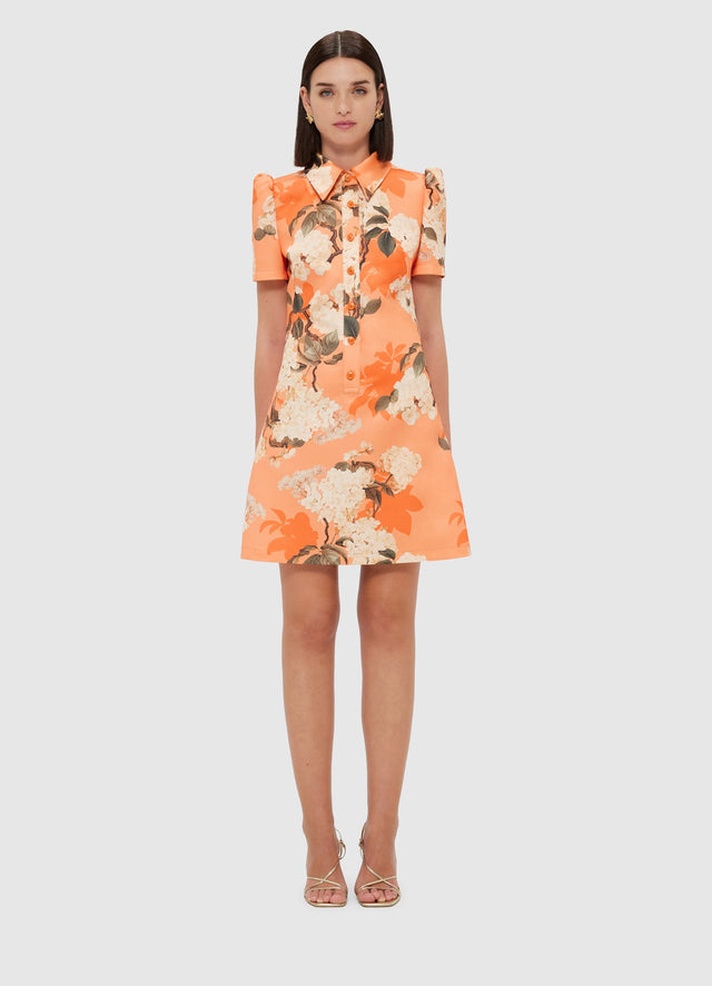 Exclusive Leo Lin Brooke Mini Dress - Hydrangea Print in Tangerine