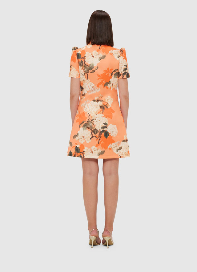 Exclusive Leo Lin Brooke Mini Dress - Hydrangea Print in Tangerine