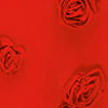 product-logo