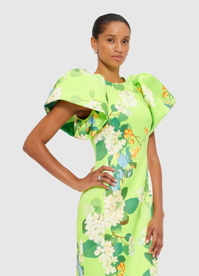 Exclusive Leo Lin Lucinda Maxi Dress in Hydrangea Print in Lime