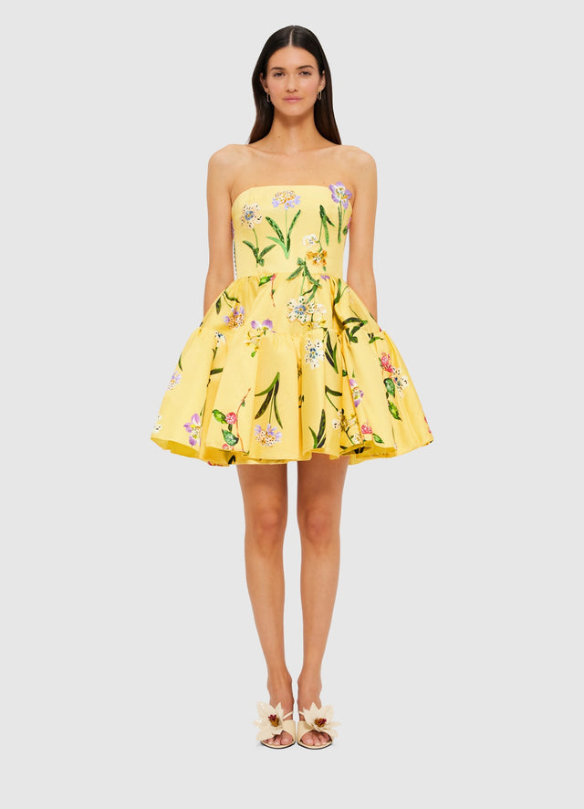 Exclusive Leo Lin Skye Bustier Mini Dress in Wild Flower in Sorbet
