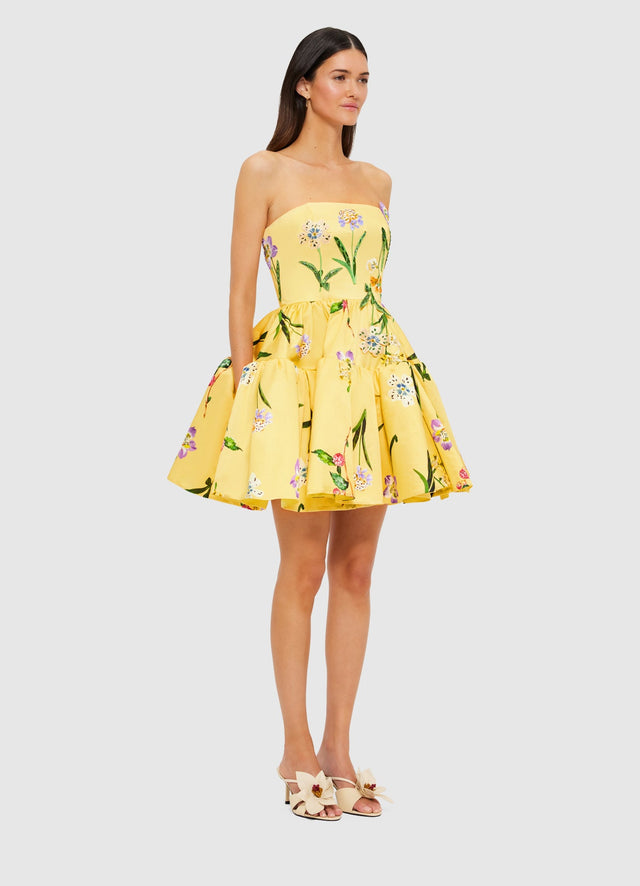 Exclusive Leo Lin Skye Bustier Mini Dress in Wild Flower in Sorbet