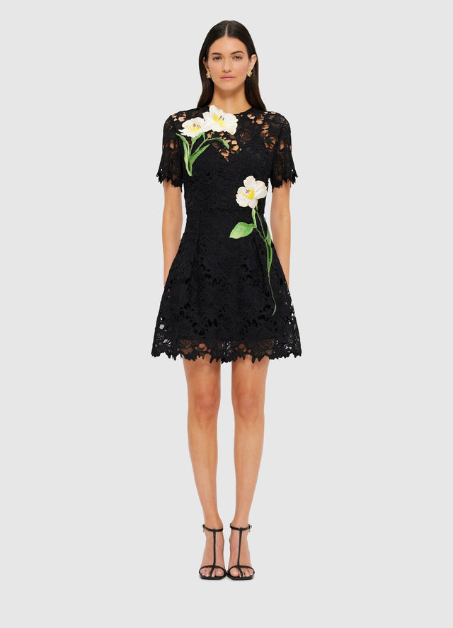 Exclusive Leo Lin Margot Embroidered Lace Mini Dress in Ebony