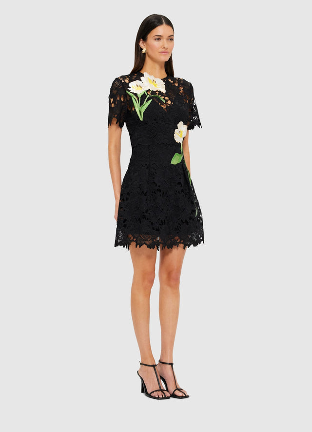 Exclusive Leo Lin Margot Embroidered Lace Mini Dress in Ebony