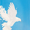 product-logo